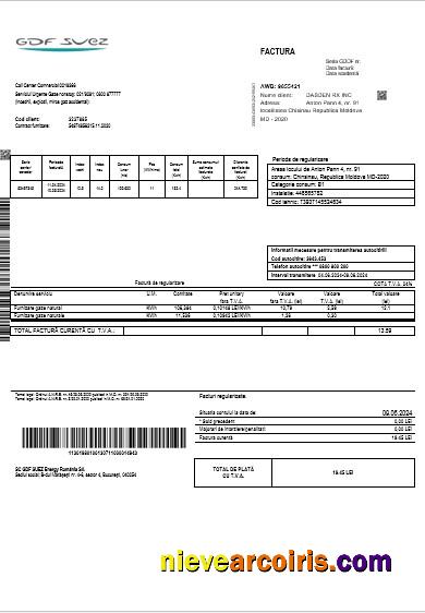 Moldova Gas business utility bill